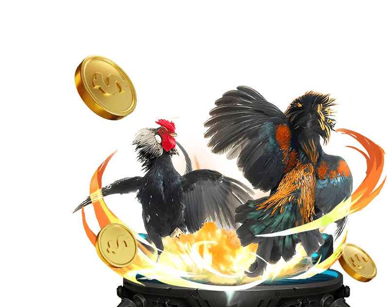 Khuyến mãi nạp lại hàng ngày do666