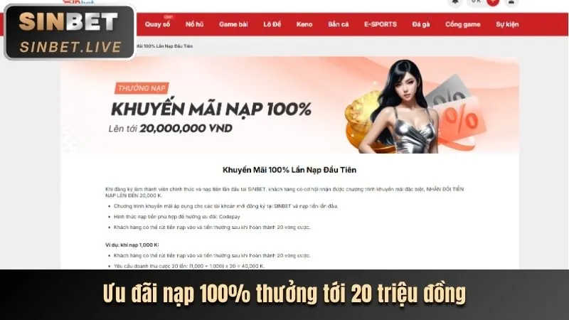 Quy trình đăng ký và gửi tiền do666